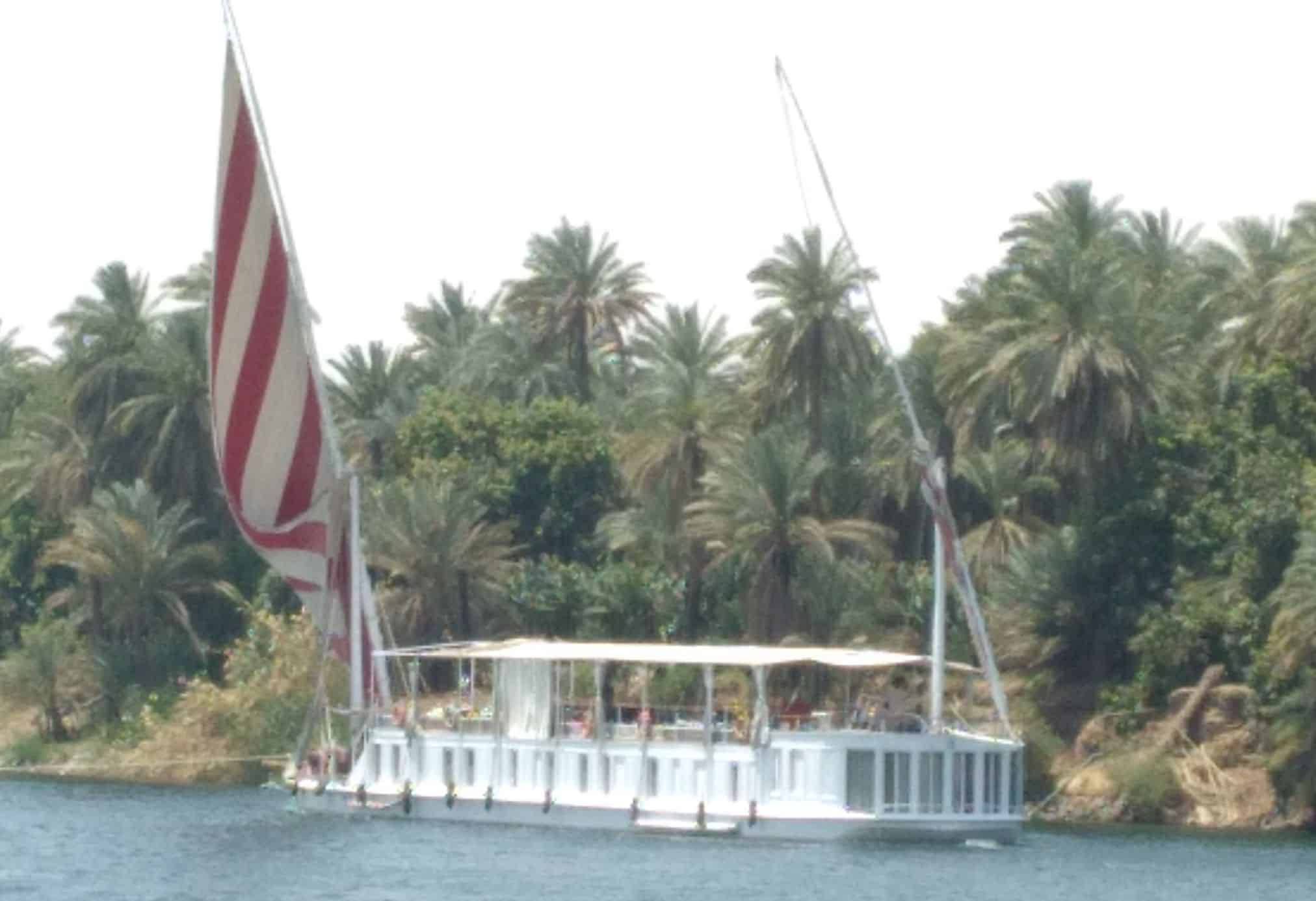 White Egyptian sailboat on river with palm trees in behind